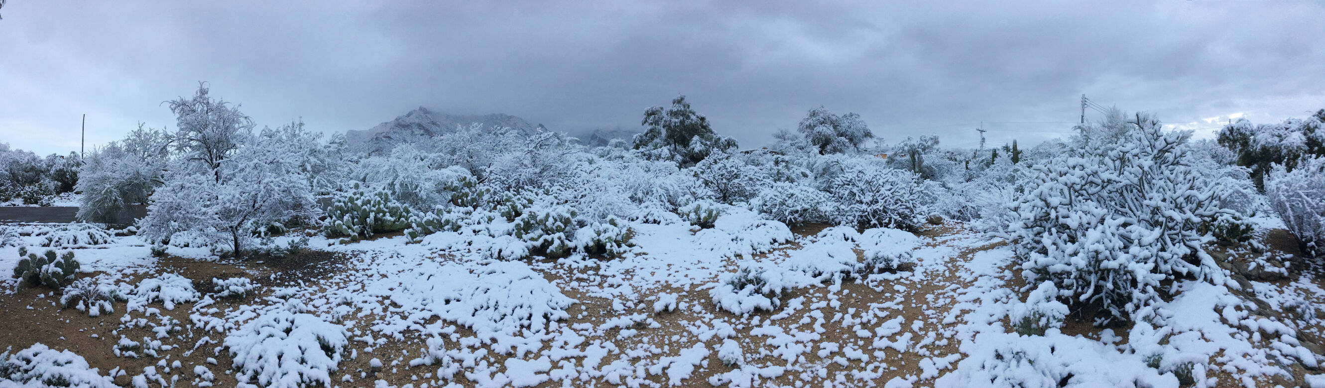 Snow, Tucson, 2023
